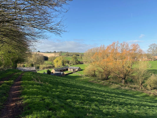 Majolica Pottery in Spain & Spring in Somerset: A Potter’s Month