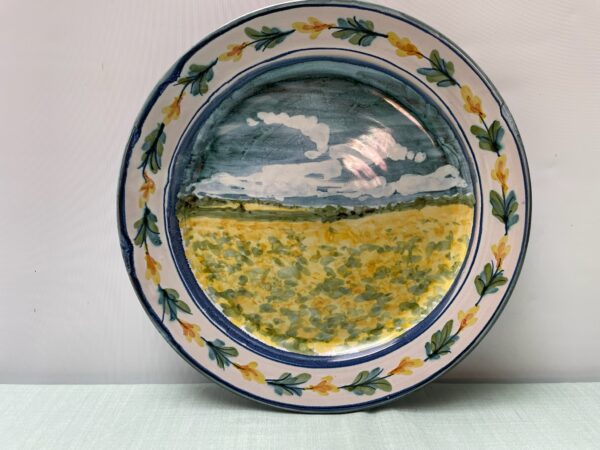 1101. Large Dinner Plate